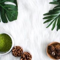 Choosing Your First Kratom Strain: A Beginner’s Guide
